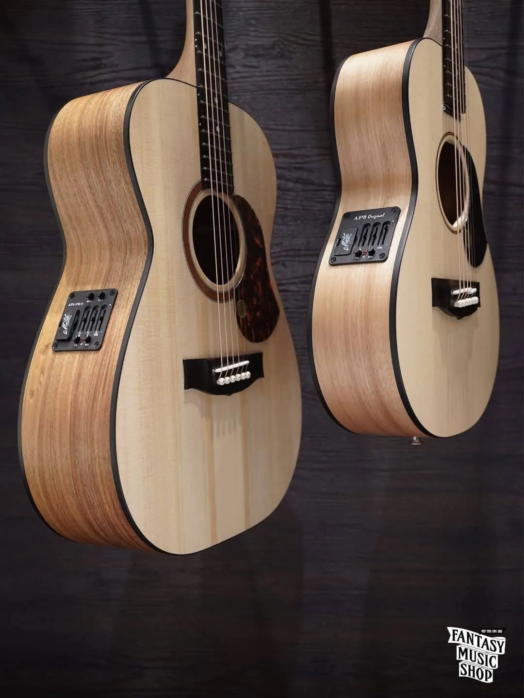 GUITAR CAPTURE